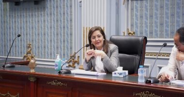 وزيرة التخطيط