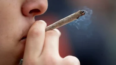 شركة بريطانيه تبحث عن "متذوق حشيش" خبرة مقابل ٤٨ ألف جنية في الشهر