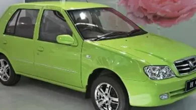 جيلي فروتة هاتشباك 2004.