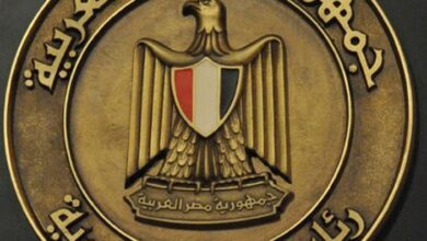 العناصر الإرهابية
