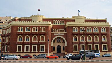 وظائف جامعة الإسكندرية