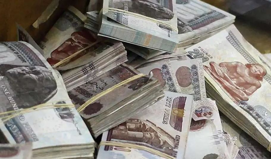 "تمويل المرأة المصرية"
