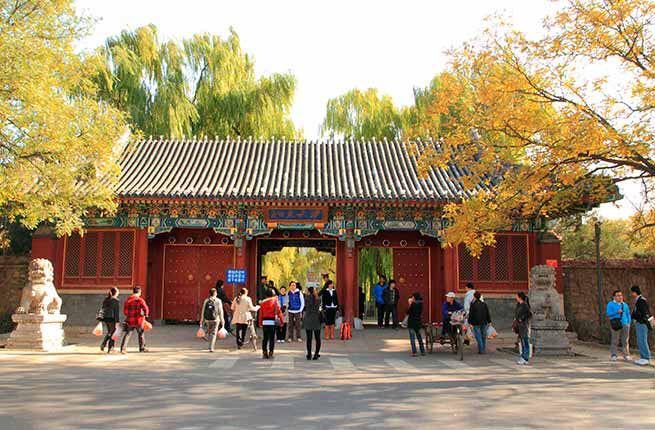 منحة الصين جامعة Zhengzhou