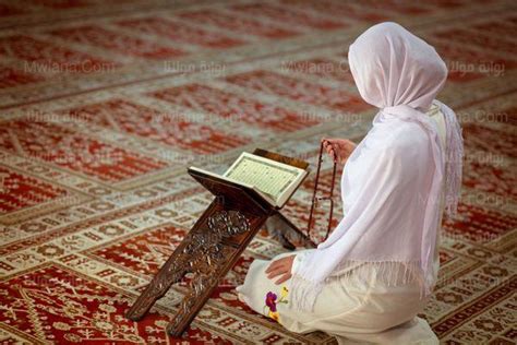 قرأة القرأن
