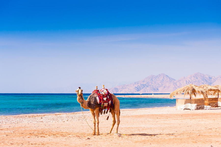 السياحة فى الغردقة