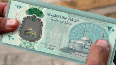 20 جنية الجديدة