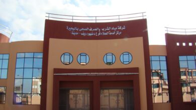 وظائف الشركة القابضة