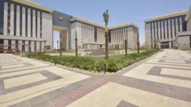 وزارة النقل