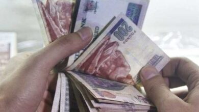 الشهادة البلاتينية 3 سنوات