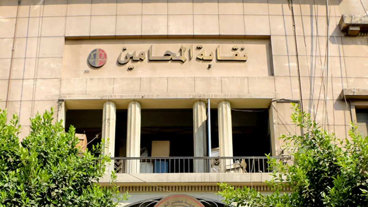 القيد بنقابة المحامين