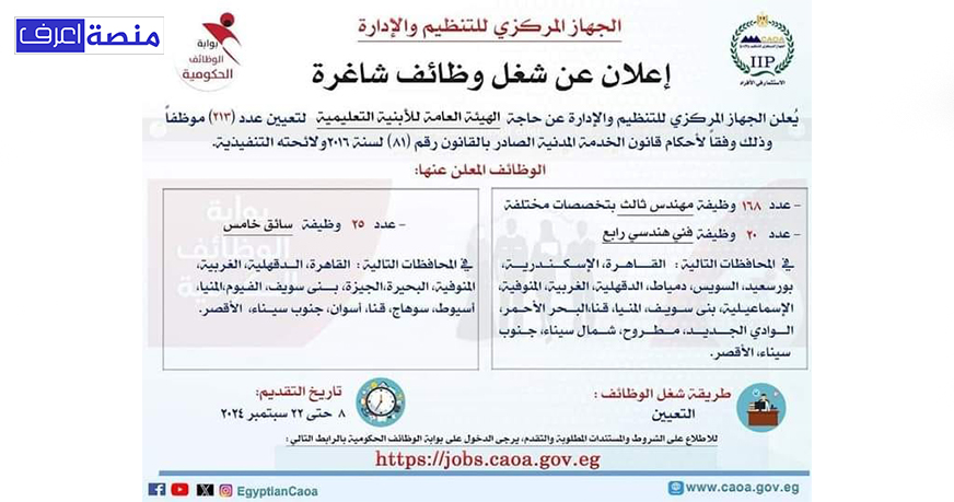 التنظيم والإدارة
