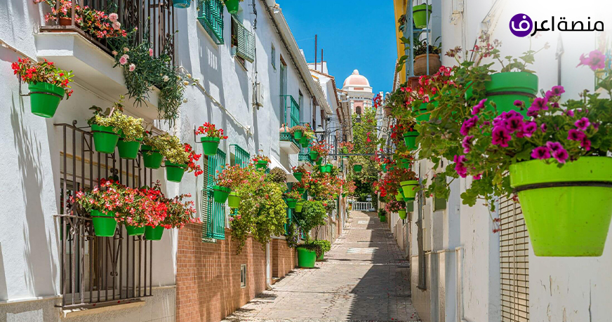 فرص تدريب في إسبانيا