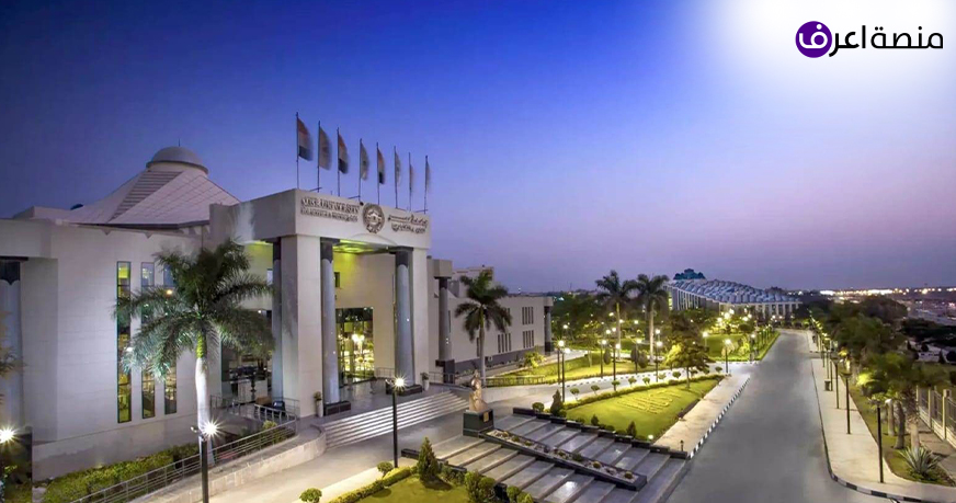 منحة جامعة مصر الدولية