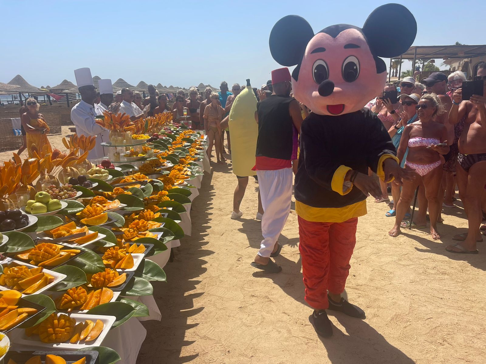 مهرجان المانجو