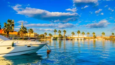 الغردقة تستقبل ملكات جمال البيئة