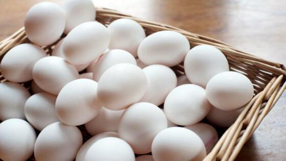 أسعار البيض تواصل الارتفاع وسعر الكرتونة يصل إلى 70 جنيها بالأسواق