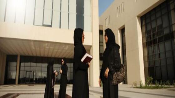 منحة الجامعة الأمريكية في قطر 2024 الممولة بالكامل