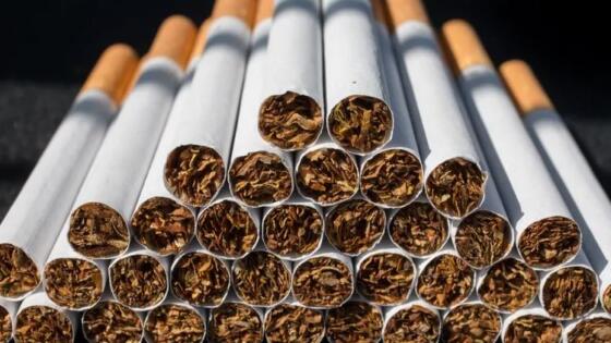 رئيس شعبة الدخان يصدم المصريين: انتظروا زيادة جديدة في أسعار السجائر خلال أيام